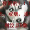 FSFT