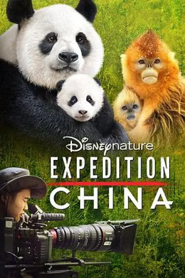 探险中国 下载
