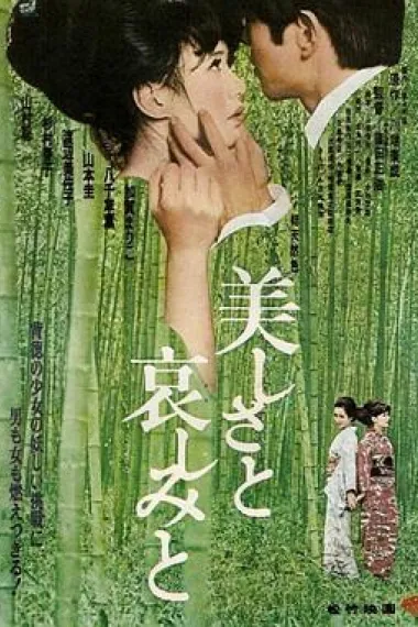 美丽与哀愁 下载