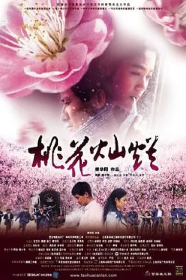 桃花灿烂 下载