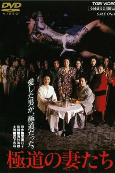 极道之妻 下载