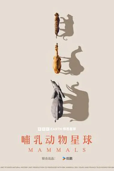 哺乳动物星球 2160P 4K 下载