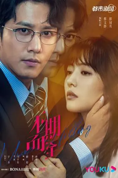 不期而至 2160P 4K 下载