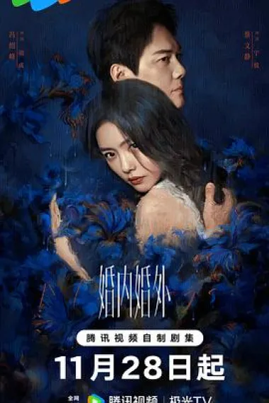 婚内婚外 2160P 4K 下载