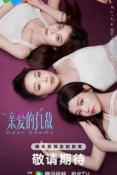 亲爱的仇敌 2160P 4K 下载