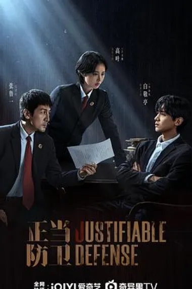 正当防卫 2160P 4K 下载