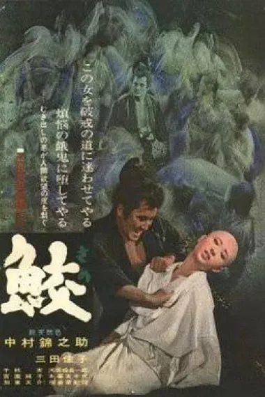 鲛 下载