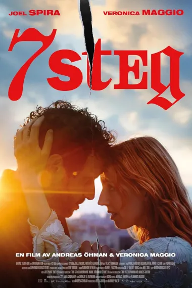 7 steg 下载