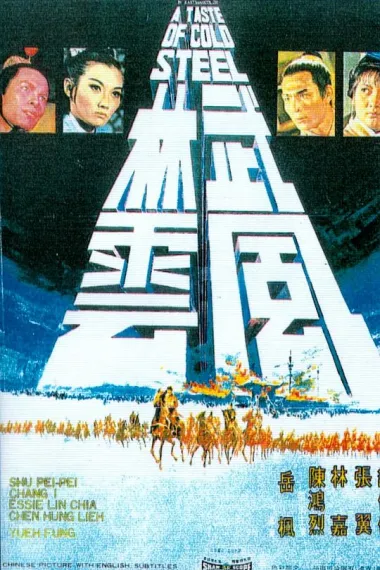 武林风云 下载