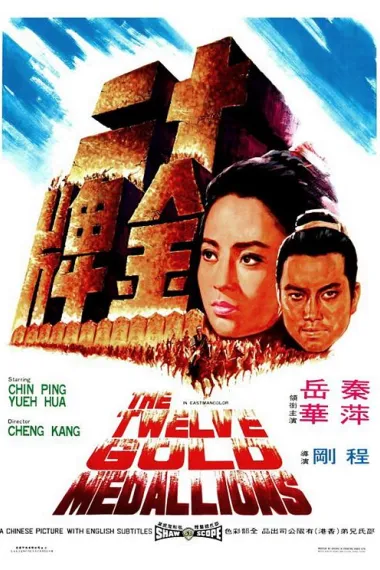十二金牌 下载