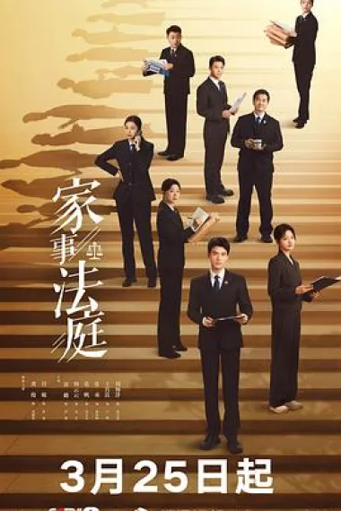 家事法庭 2160P 4K 下载