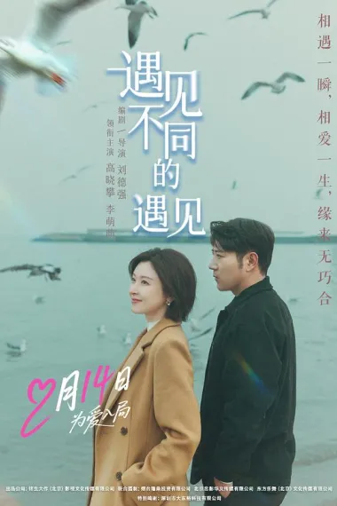 遇见不同的遇见 2160P 4K 下载